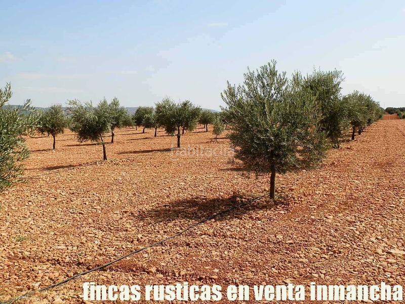 Foto 256c8b28-7b41-495d-8c65-c9054d0198ff. Landgut in Moral de Calatrava