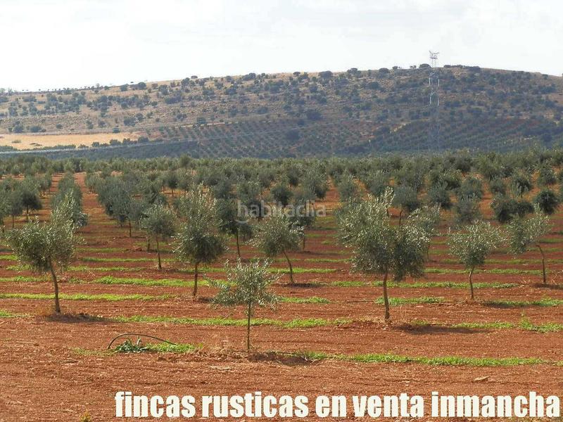 Foto 25b5daeb-b969-459c-9fa8-93f74ca830e1. Landgut in Moral de Calatrava