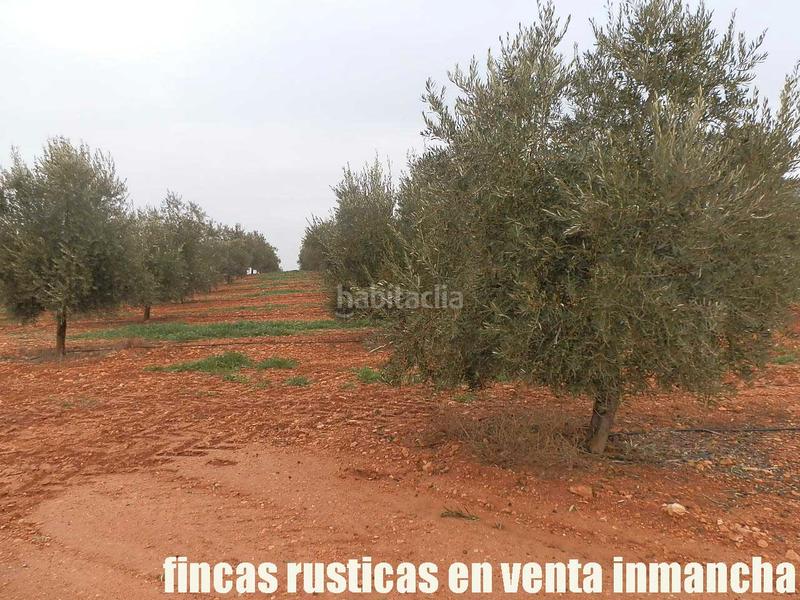 Foto 2a435df6-030f-48d0-8f39-341cfa60995c. Landgut in Moral de Calatrava