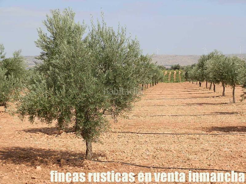 Foto 2ac534b6-3796-4479-9a1d-4dfc9742407b. Landgut in Moral de Calatrava