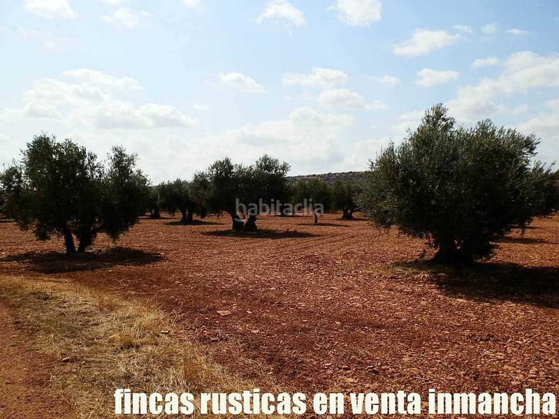 Foto 4126dffe-cecc-4109-a01d-be18efe3007b. Landgut in Moral de Calatrava