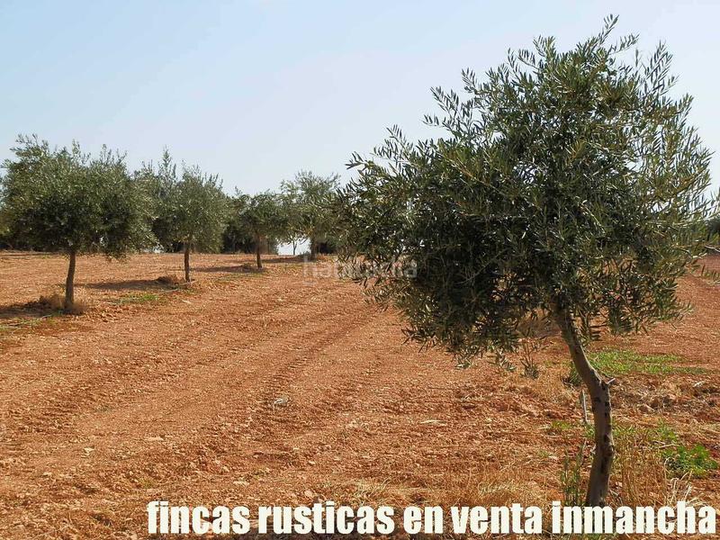 Foto 412b73b7-2f8b-472e-a7a4-77dc0736e5cc. Landgut in Moral de Calatrava