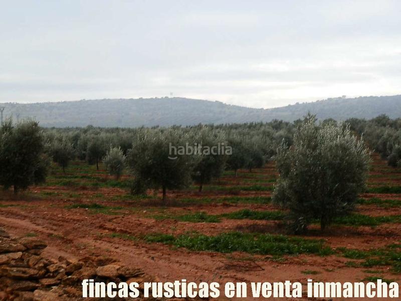 Foto 464b44a6-66a5-4340-8ae8-fd9b4c9b9234. Landgut in Moral de Calatrava