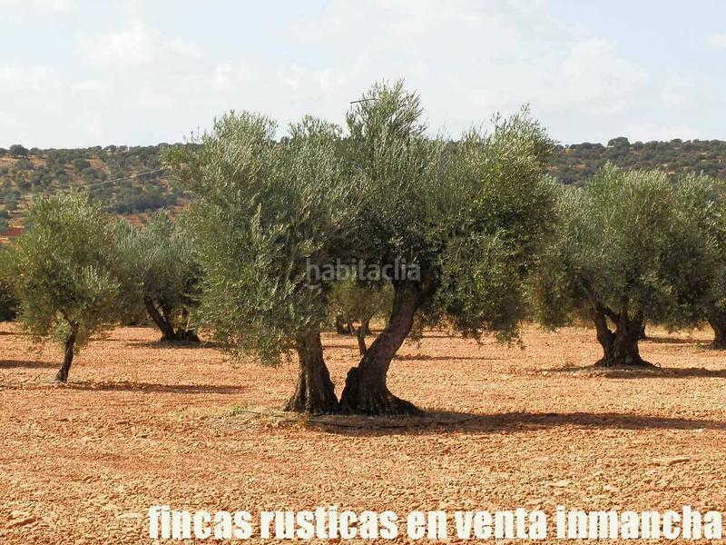 Foto 61dc8f5b-7d0c-4eb2-a46a-4b7fddb19f6d. Landgut in Moral de Calatrava