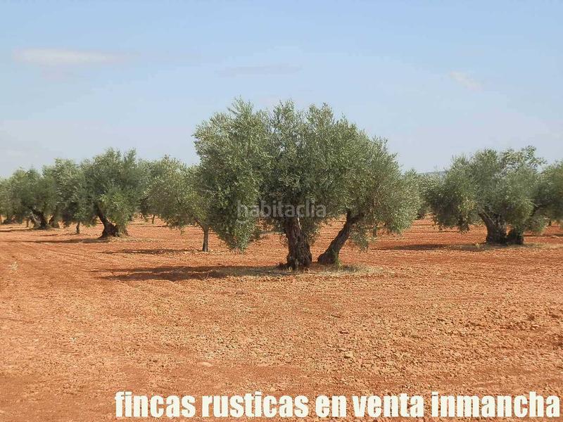 Foto 674a9470-a872-4f5a-955a-5fe52c7a1688. Landgut in Moral de Calatrava