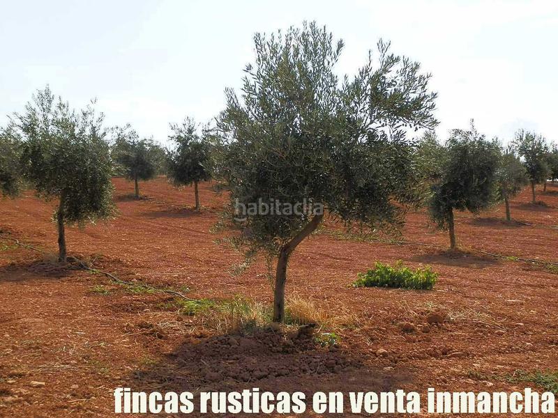 Foto 6d5ee224-0d38-4272-ae7b-ca16368eefdf. Landgut in Moral de Calatrava