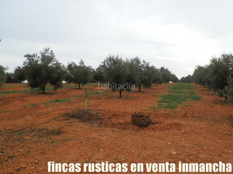 Foto 96cd695d-2868-4681-93bd-79326471c789. Landgut in Moral de Calatrava