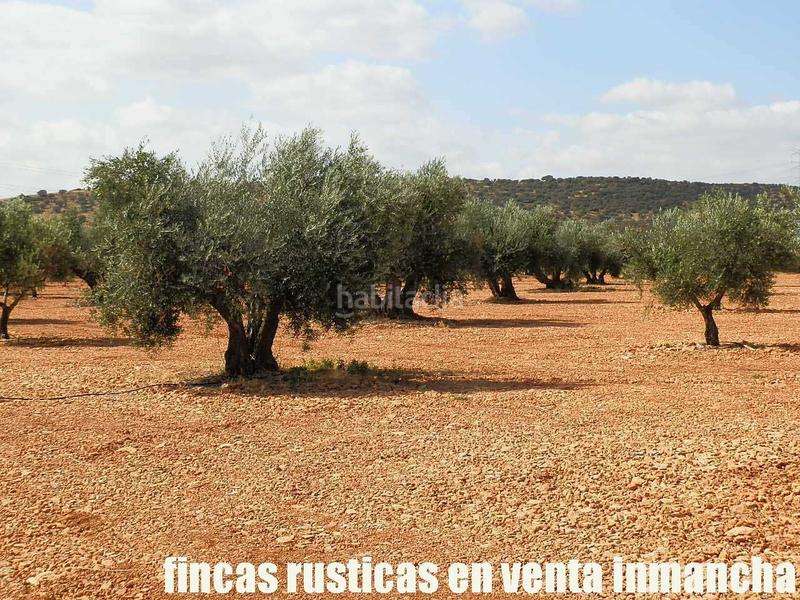 Foto 9ce3b7a8-d883-4db0-bace-f9b23a34e8f5. Landgut in Moral de Calatrava