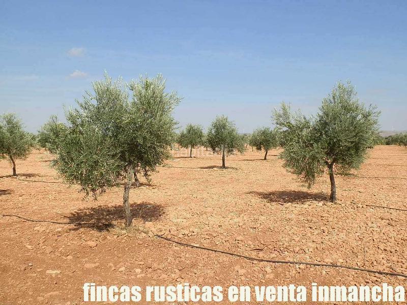 Foto 9d11d973-3e6b-444e-8c68-150a04f25830. Landgut in Moral de Calatrava