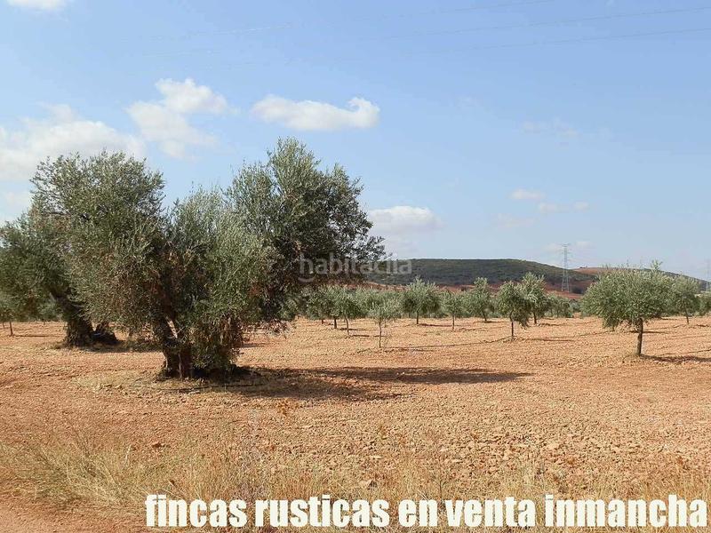 Foto a2969147-bab4-4b1e-87e1-35f1ee8a8dd6. Landgut in Moral de Calatrava