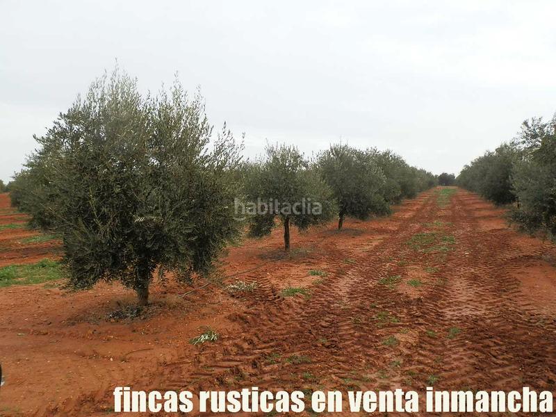 Foto a326ff0f-1894-425f-9501-a6d4ad9c9330. Landgut in Moral de Calatrava