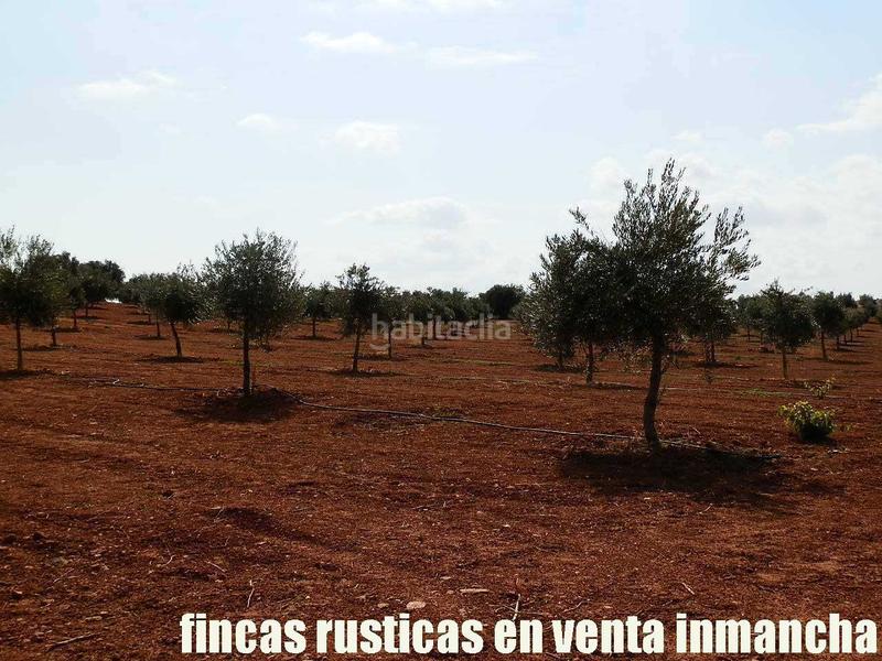 Foto a7bbe711-f838-4c7d-988e-d279b2e1f568. Landgut in Moral de Calatrava