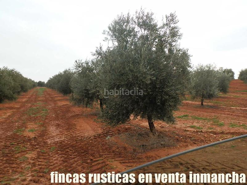 Foto ca4069bd-5a3b-4f96-ae6e-b5e8ebbffa87. Landgut in Moral de Calatrava