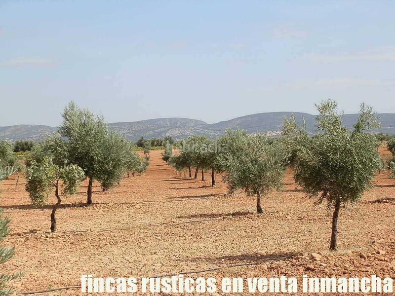 Foto e8b2303c-93b8-4eae-a4ef-575b064b3bf3. Landgut in Moral de Calatrava