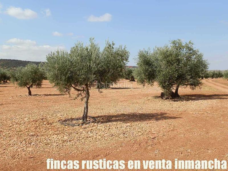 Foto f4dceb3f-e22f-4a6f-a258-34375475cecf. Landgut in Moral de Calatrava