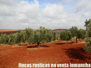 Finca rústica a Valdepeñas. Finca en venta 46 has. labor olivar riego caserío en valdepeñas