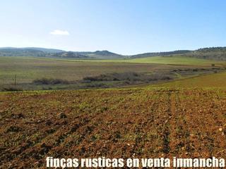 Finca rústica a Centro - Plaza Mayor. Finca en venta 118 has. labor riego y secano en ciudad real