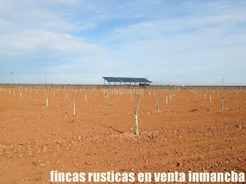 Foto 09ab9973-8c85-420e-9355-f260cd093456. Fondo rustico in Centro Albacete