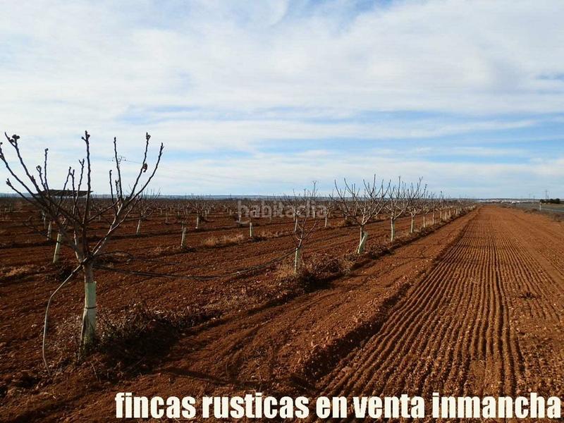 Foto 0e3fff0a-21ee-43cc-bb5c-49fb2b014dab. Fondo rustico in Centro Albacete