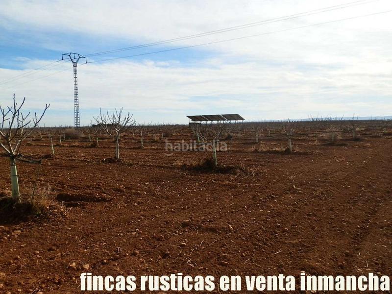 Foto 1a164d58-c654-453b-a305-35c6622e9178. Fondo rustico in Centro Albacete