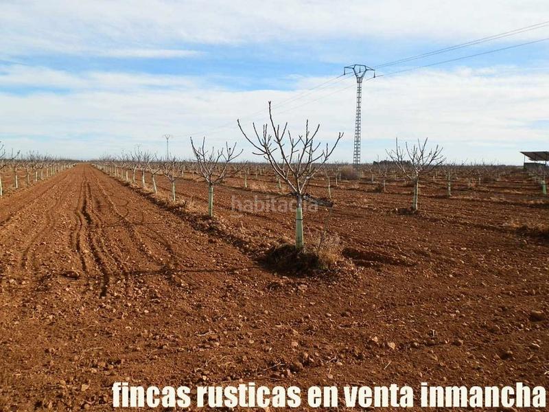 Foto 232c348a-7b87-4e88-9391-f5dd32ae194c. Fondo rustico in Centro Albacete