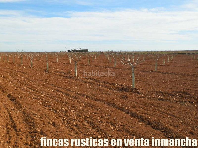 Foto 387625f0-e5ac-4c0f-89c7-956a5c20aa2e. Fondo rustico in Centro Albacete