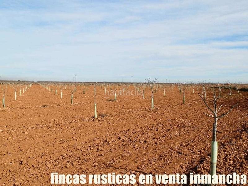 Foto 3bd10b37-50d0-4b6e-9bff-99acc7cbd72d. Fondo rustico in Centro Albacete