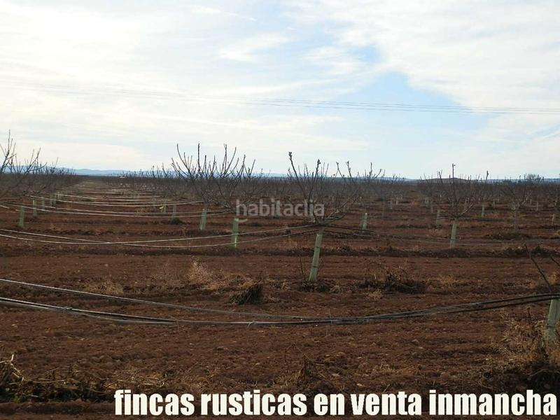 Foto 4062d1f7-b2a2-482d-ac48-81aff5434c3a. Fondo rustico in Centro Albacete