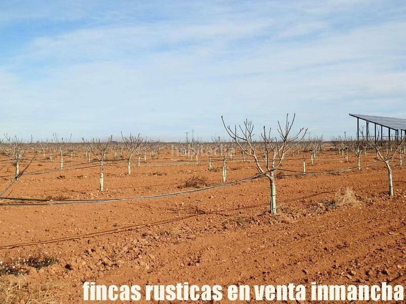 Foto 5c5f7f57-7090-448d-b84c-424741406682. Fondo rustico in Centro Albacete