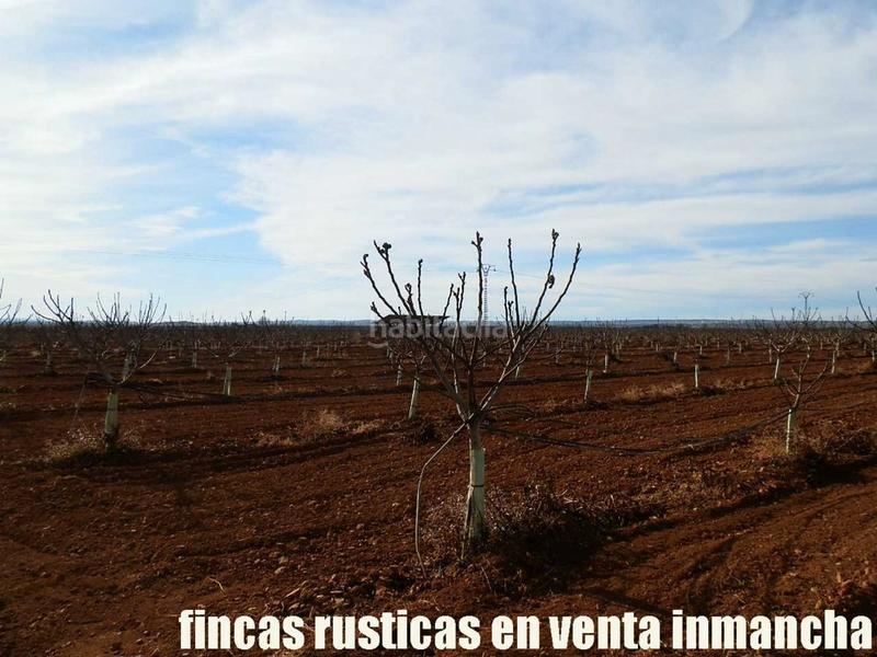 Foto 5cd84fe1-3330-41ad-86d0-1e3d6b9f20df. Fondo rustico in Centro Albacete