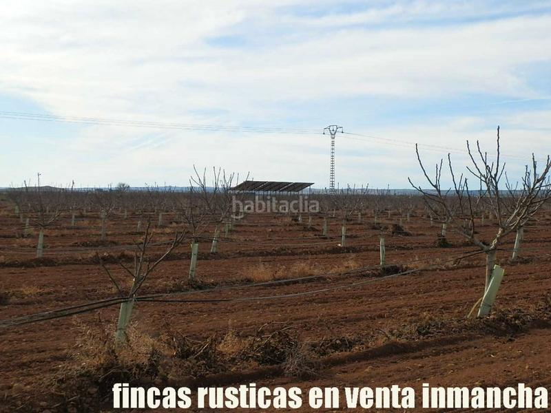 Foto 7eb94454-771a-4df1-b1a8-793b80ba2448. Fondo rustico in Centro Albacete