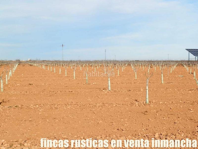 Foto 9831f754-7886-4c0b-8319-7eb13614da40. Fondo rustico in Centro Albacete