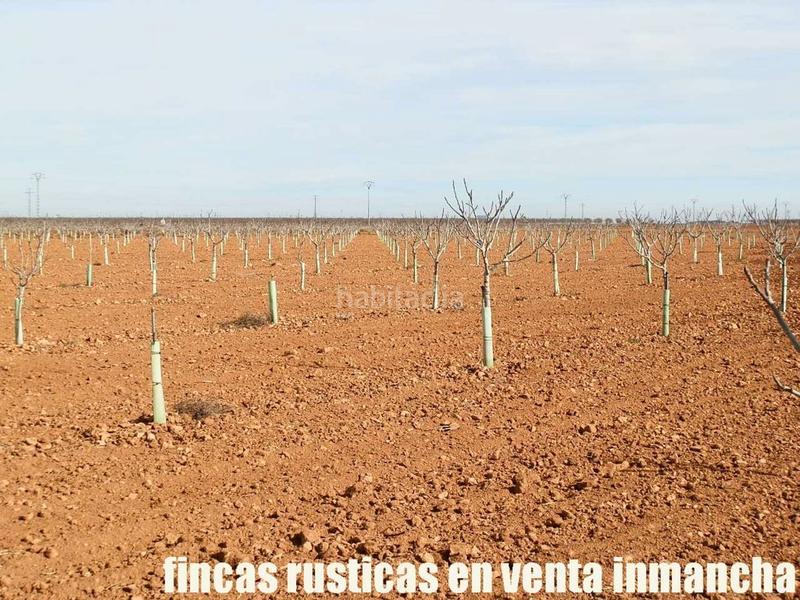 Foto a146e0a5-5a54-4563-9c5b-ab3f1f483f02. Fondo rustico in Centro Albacete