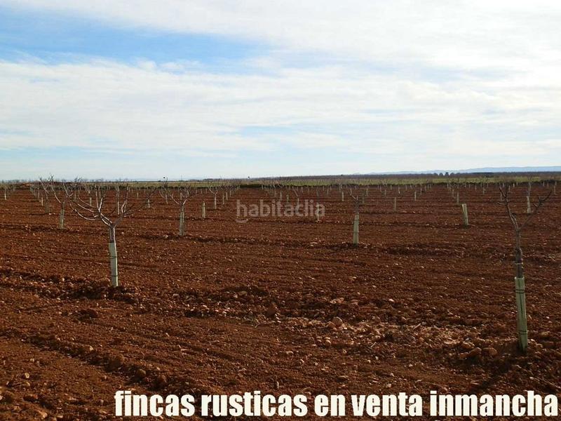 Foto aeef6224-0442-4f35-b5f0-77e13e6a21f4. Fondo rustico in Centro Albacete