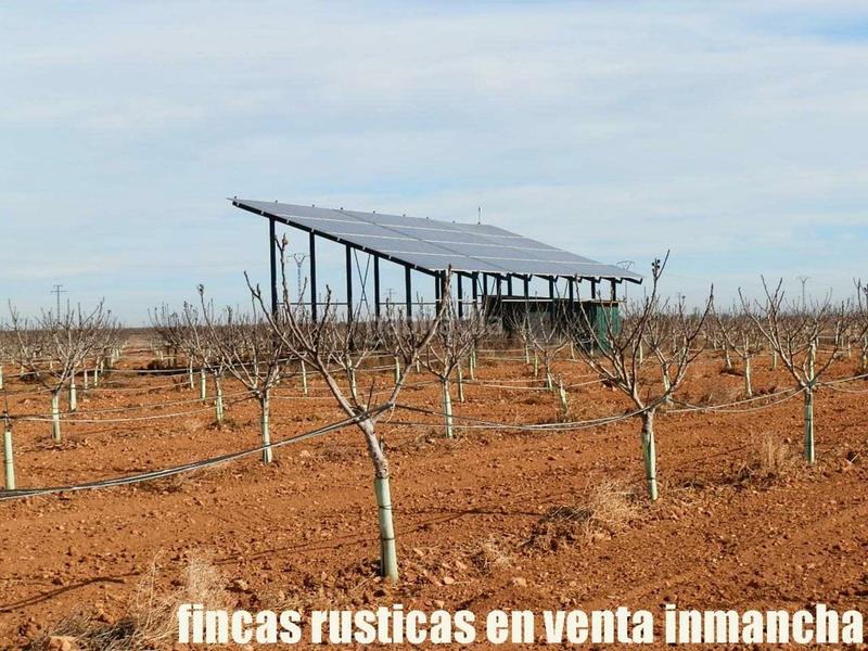 Foto dd4d9efe-2318-4150-9ff5-ce8bce2bf0e5. Fondo rustico in Centro Albacete