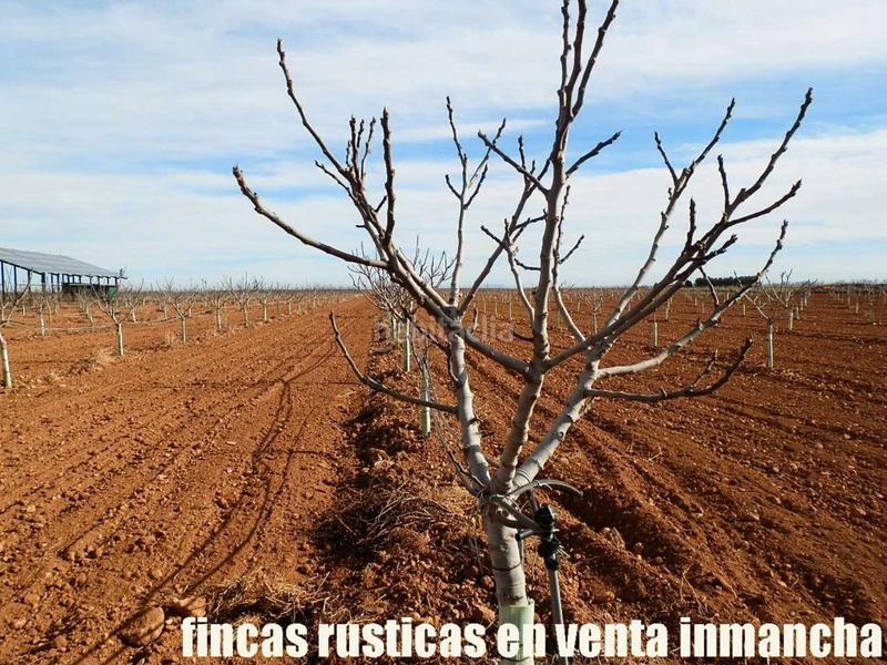Foto e46ddaa3-bb0f-49cb-b685-105fcd249d72. Fondo rustico in Centro Albacete