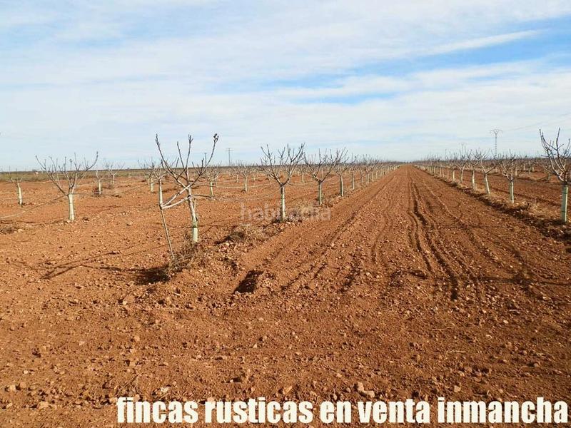 Foto ece4fee1-66e2-4054-932c-a66d8be7e9a9. Fondo rustico in Centro Albacete