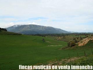 Finca rústica a Algodonales. Finca en venta 380 has. ganadera labor en algodonales (cadiz)