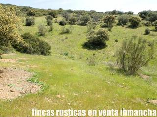 Propriété à Calzada de Calatrava. Finca en venta 30 has. ganadera recreo en calzada de calatrava (