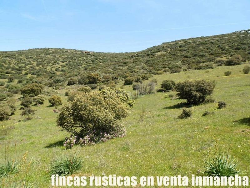 Foto 1894ecb9-1764-460e-81fb-6237a721fcc9. Propriété dans Calzada de Calatrava