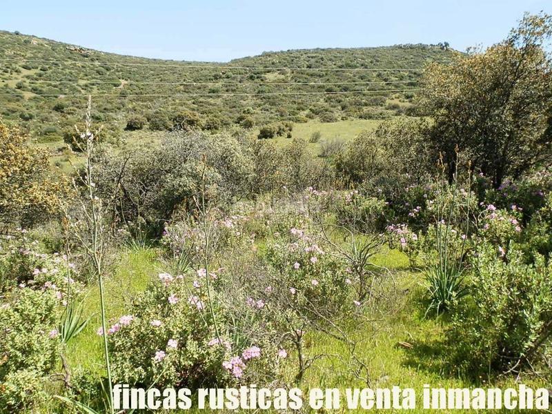 Foto 441a547e-3bbb-4fd3-82a7-4ea2acc9a98e. Propriété dans Calzada de Calatrava