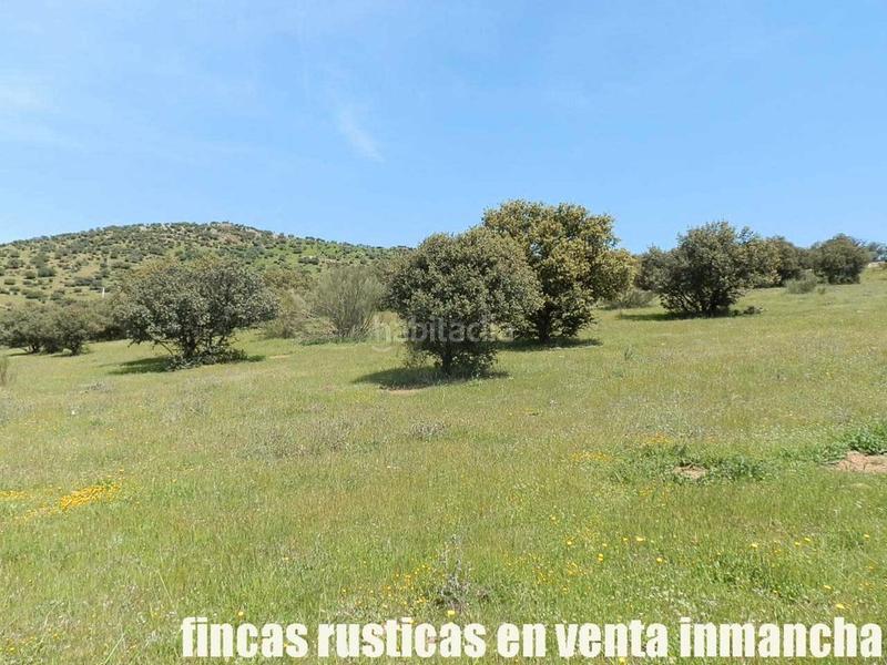 Foto 68bc2397-2292-4973-b3db-3b2266692516. Propriété dans Calzada de Calatrava