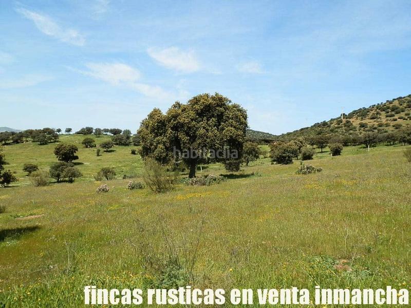 Foto 7cdbd41f-e948-487c-b4c5-d1192895b2c3. Propriété dans Calzada de Calatrava