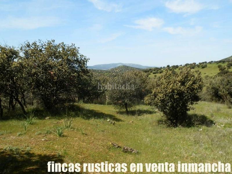 Foto 7eaef86d-2d3e-4653-84fe-75946cdd24d1. Propriété dans Calzada de Calatrava