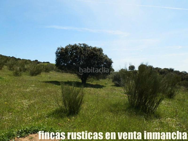 Foto 95bd4ba2-a54a-4485-9244-ae29d2861ca3. Propriété dans Calzada de Calatrava