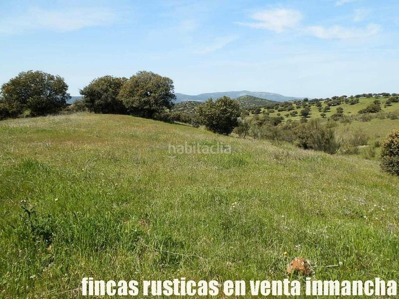 Foto b69e3163-605f-40e4-9ee2-edb1eb662ca8. Propriété dans Calzada de Calatrava