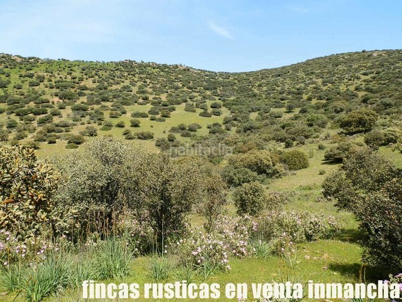 Foto ca87500f-191f-45f0-9769-b9677040dce9. Propriété dans Calzada de Calatrava