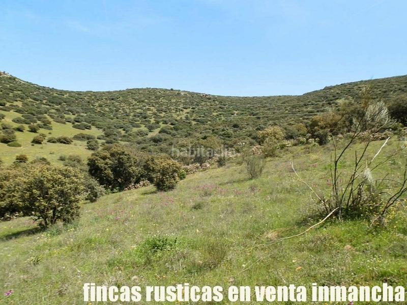 Foto d76575ce-107b-4ee6-ace4-230756dde99b. Propriété dans Calzada de Calatrava