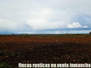 Finca rústica a Pozuelo de Calatrava. Finca en venta 5 has. labor viña regadío en pozuelo de calatrava