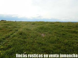 Finca rústica a Miguelturra. Finca en venta 10 has. labor recreo en miguelturra (ciudad real)